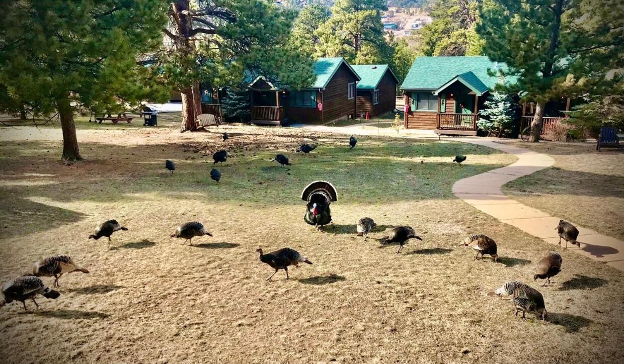 Mountain Shadows Resort Estes Park Zewnętrze zdjęcie