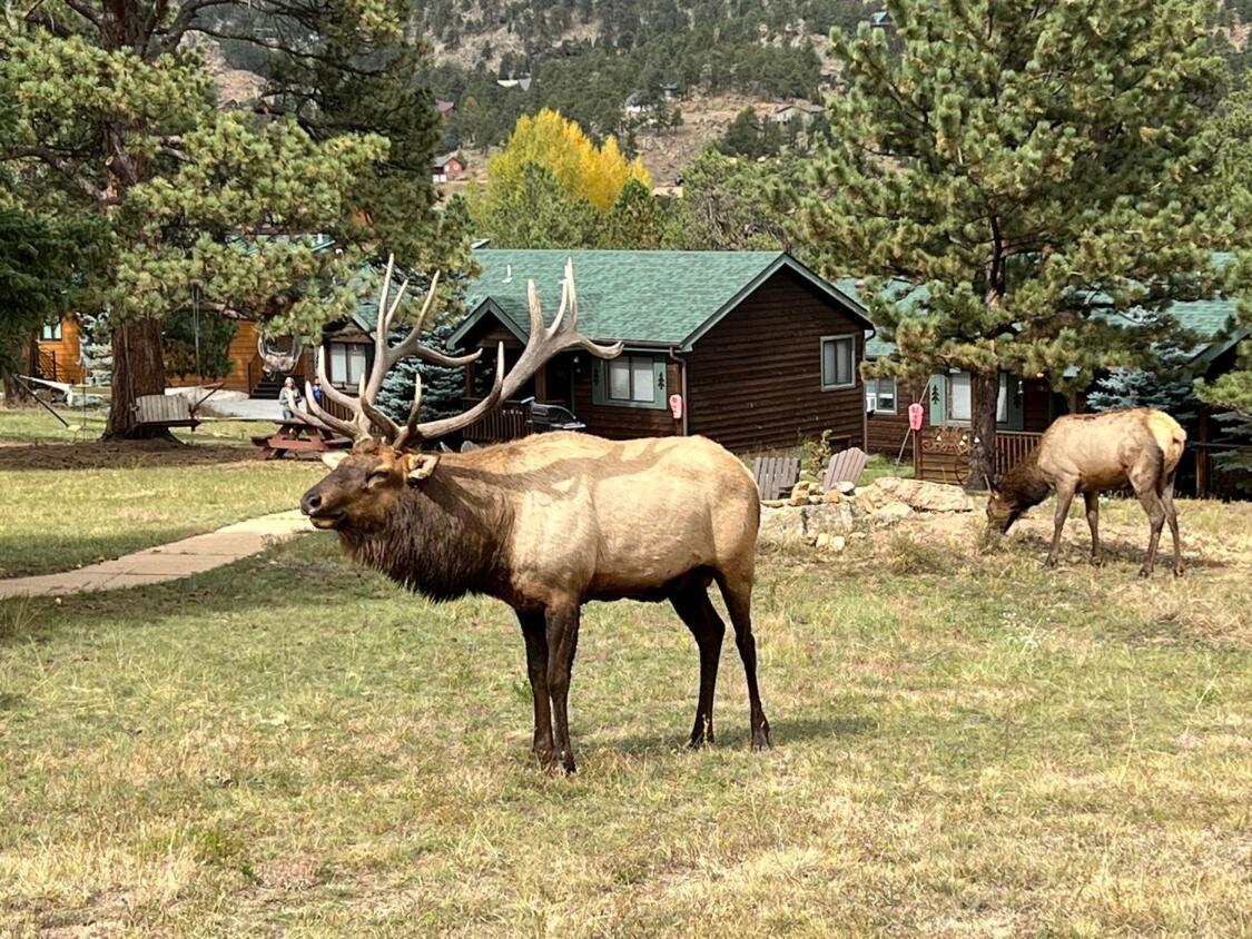Mountain Shadows Resort Estes Park Zewnętrze zdjęcie