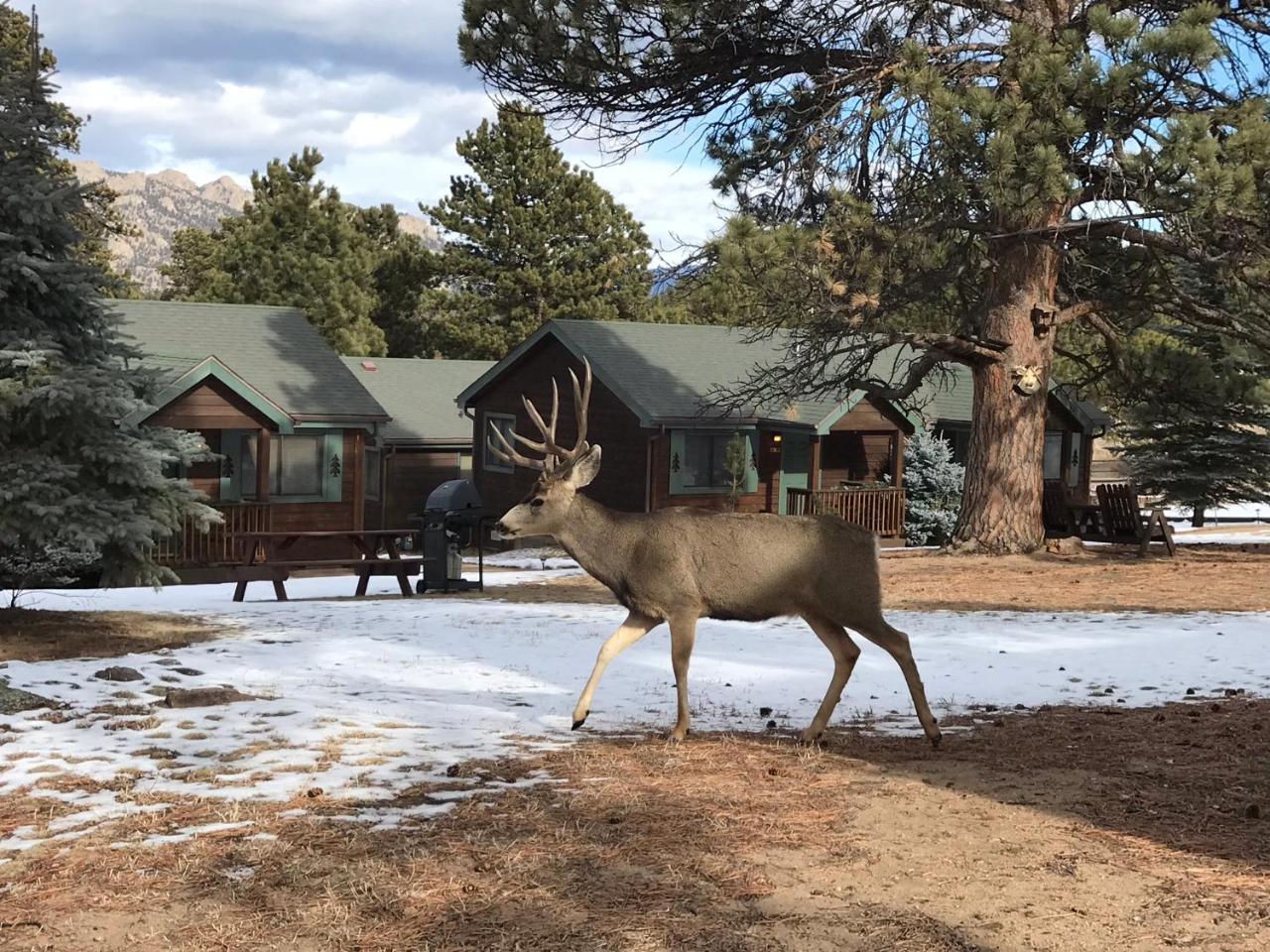 Mountain Shadows Resort Estes Park Zewnętrze zdjęcie