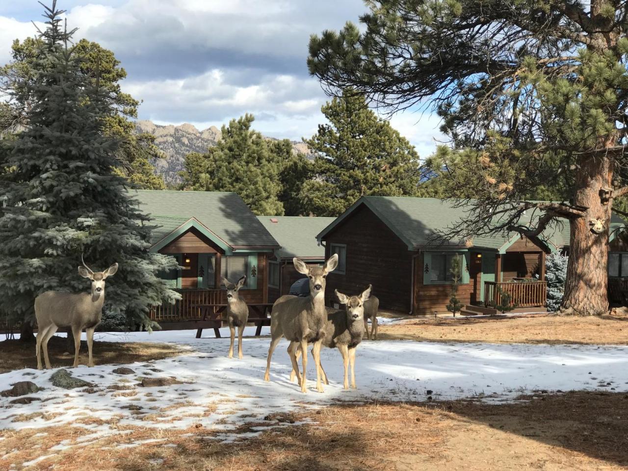 Mountain Shadows Resort Estes Park Zewnętrze zdjęcie